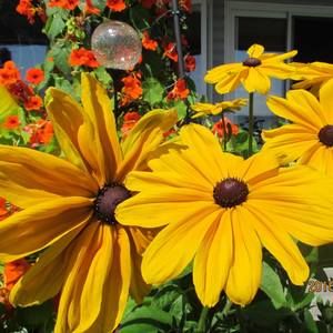 Meet your Posher, Margy